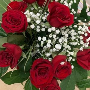 Meet your Posher, Maria